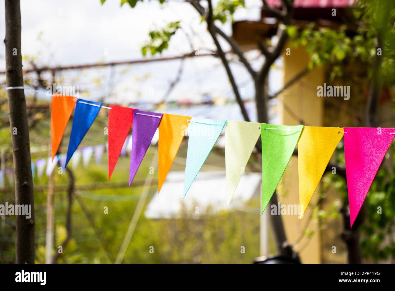 Party flags in yard, colorful flags Stock Photo Alamy