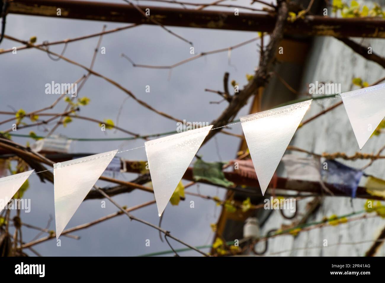 Party flags in yard, colorful flags Stock Photo Alamy