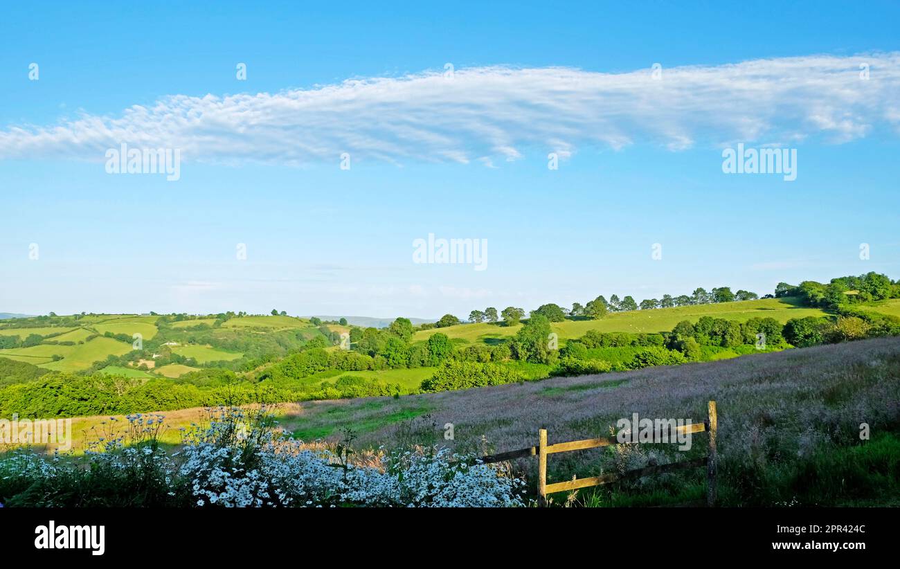 Long altostratus or stratus cloud formation stretching across the sky above Welsh farmland summer landscape inCarmarthenshire Wales UK  KATHY DEWITT Stock Photo