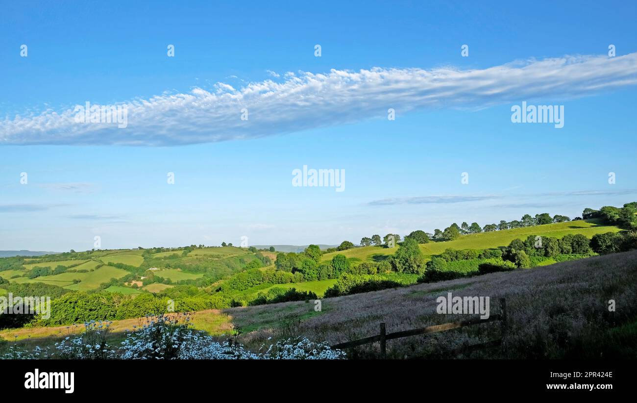 Long altostratus or stratus cloud formation stretching across the sky above Welsh farmland summer landscape inCarmarthenshire Wales UK  KATHY DEWITT Stock Photo