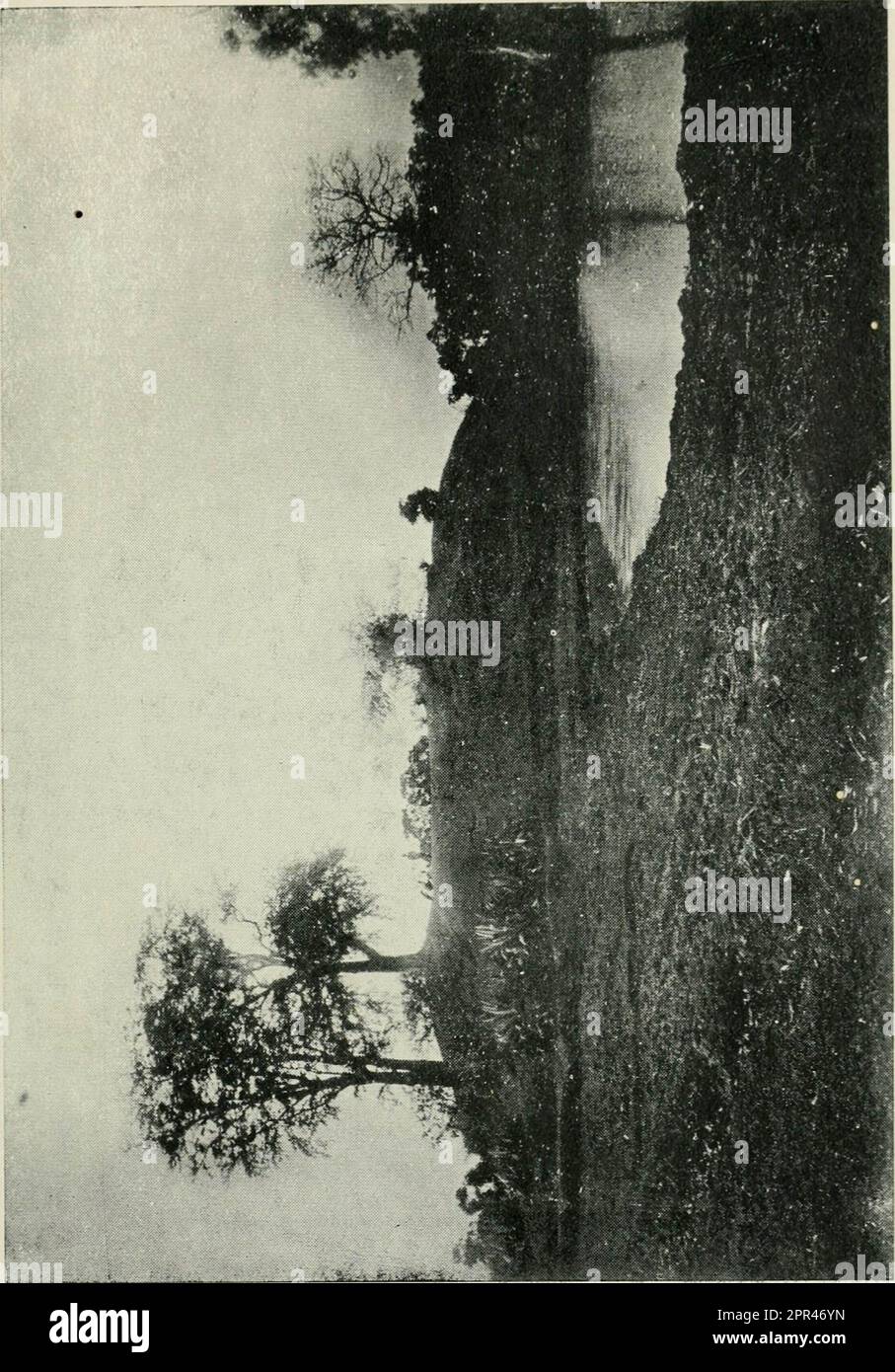 1912 survey hi-res stock photography and images - Alamy