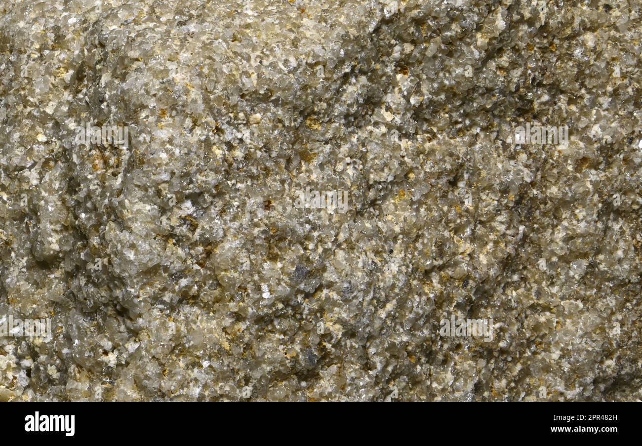 Arkose - detrital sedimentary rock (sandstone) containing quartz and feldspar Stock Photo