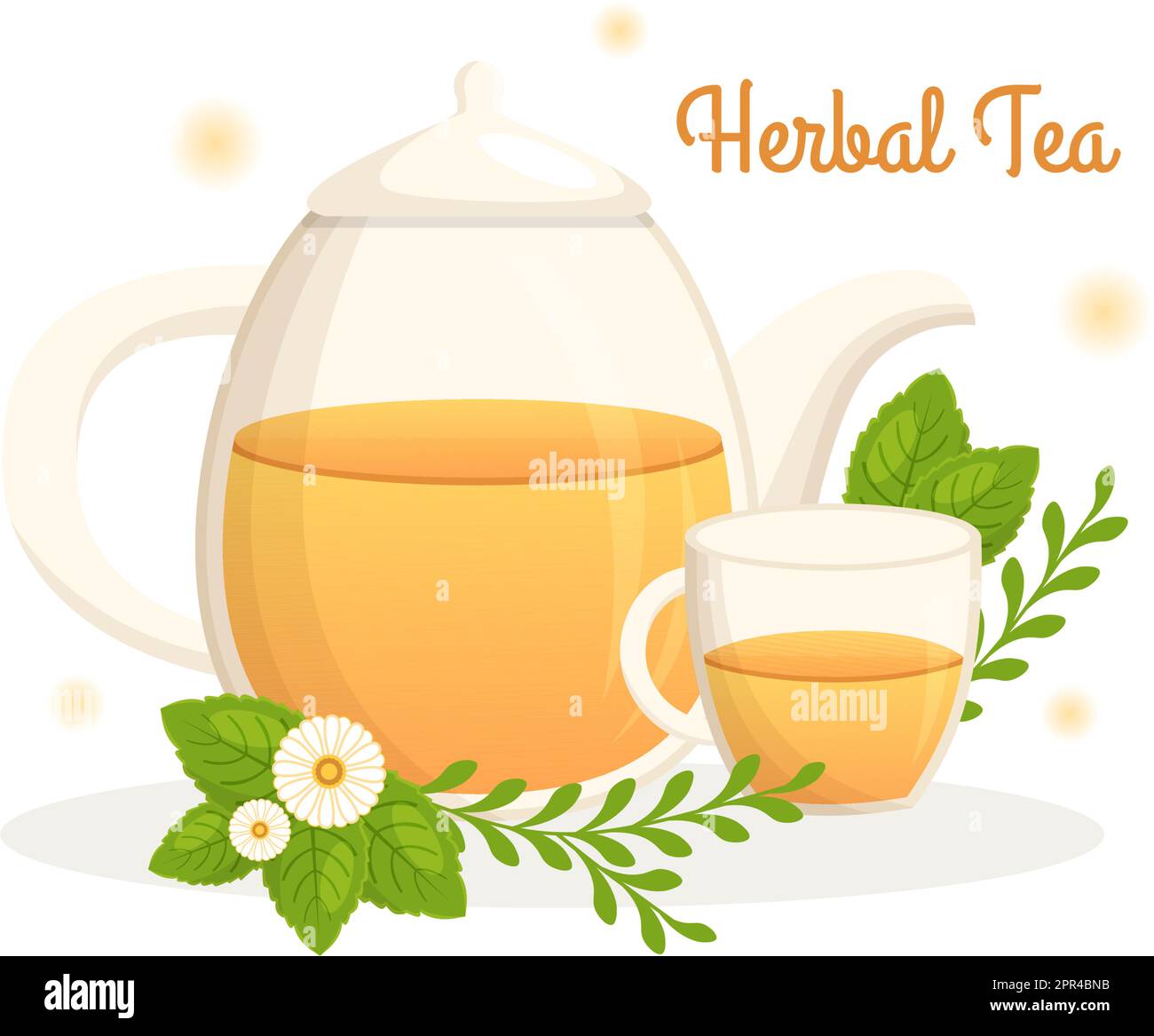 Herbal Tea with Chamomile Leaves of Health Drink Green to Increase ...