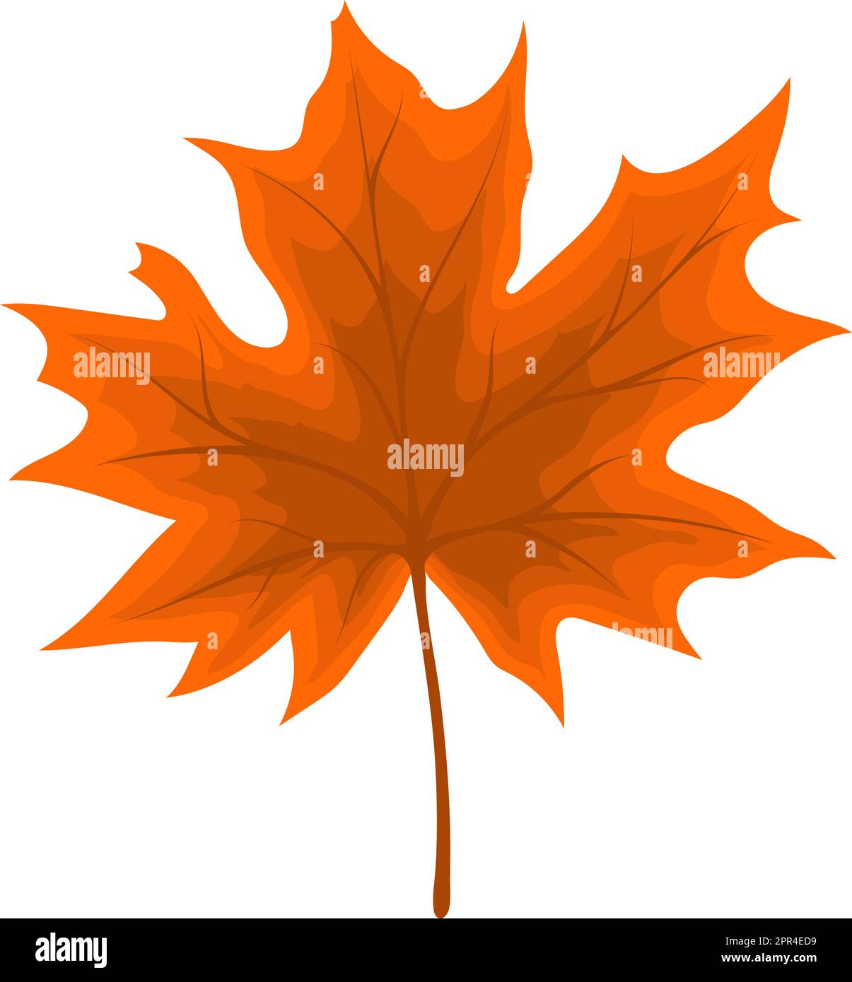 Maple Autumn Leaf Stock Vector Image & Art - Alamy