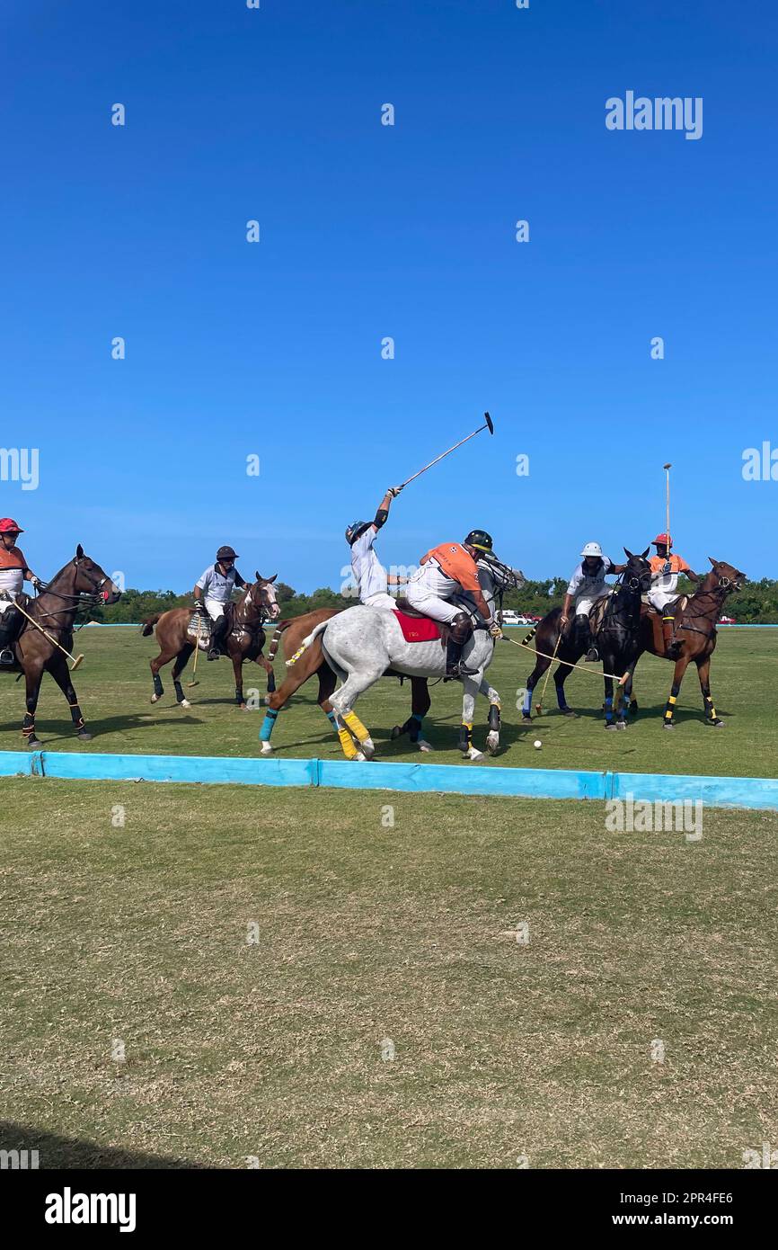 Polo Game In Punta Cana, Dominican Republic Stock Photo - Alamy