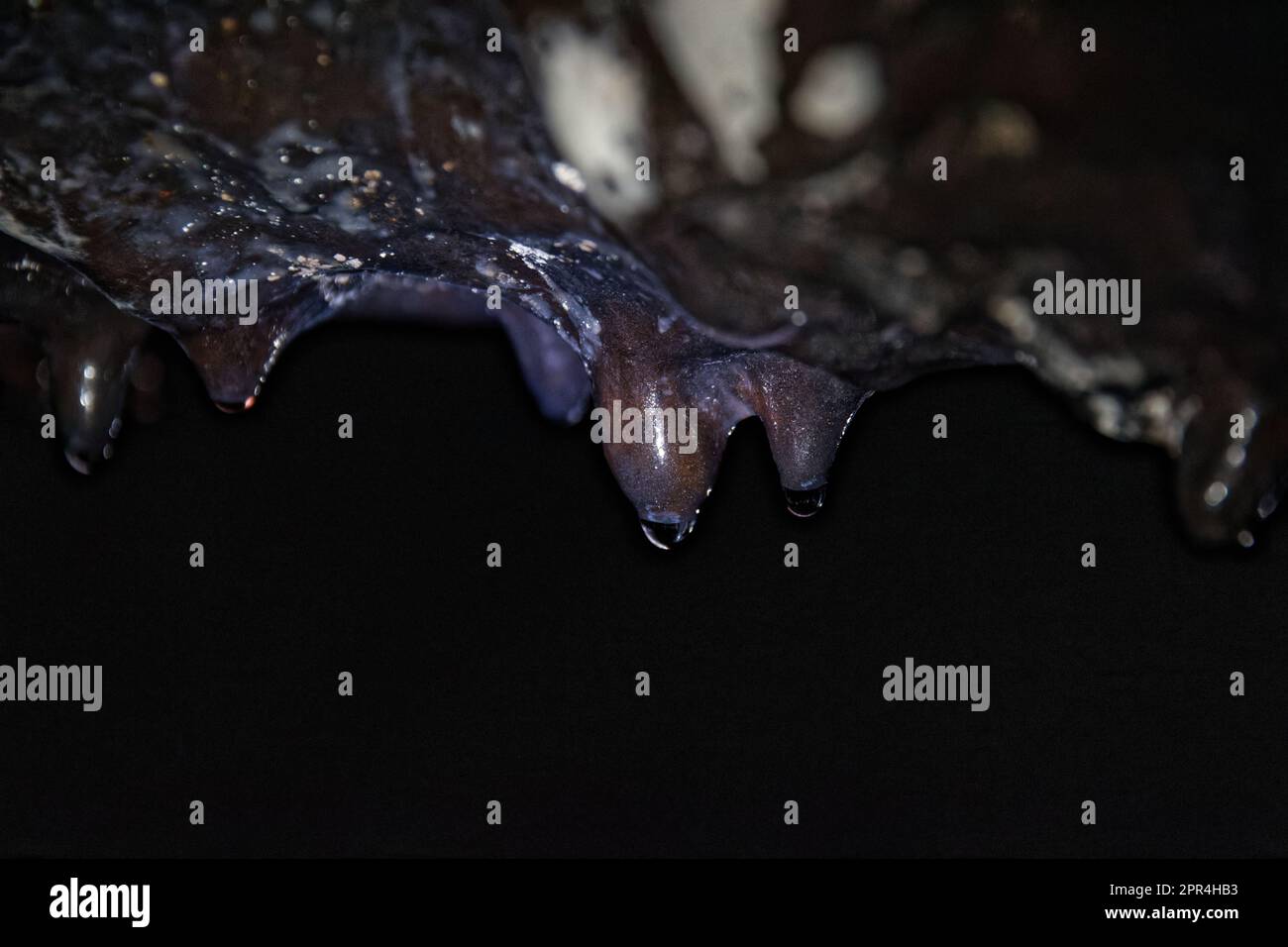 Lava stalactites on the ceiling of Gruta das Torres lava tubes in Pico island, Azores, Portugal Stock Photo