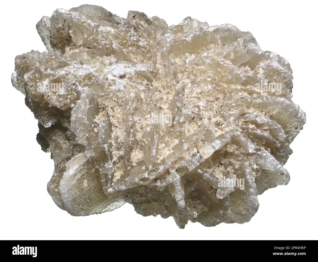 Desert Rose - Baryte (barium sulphate) Stock Photo