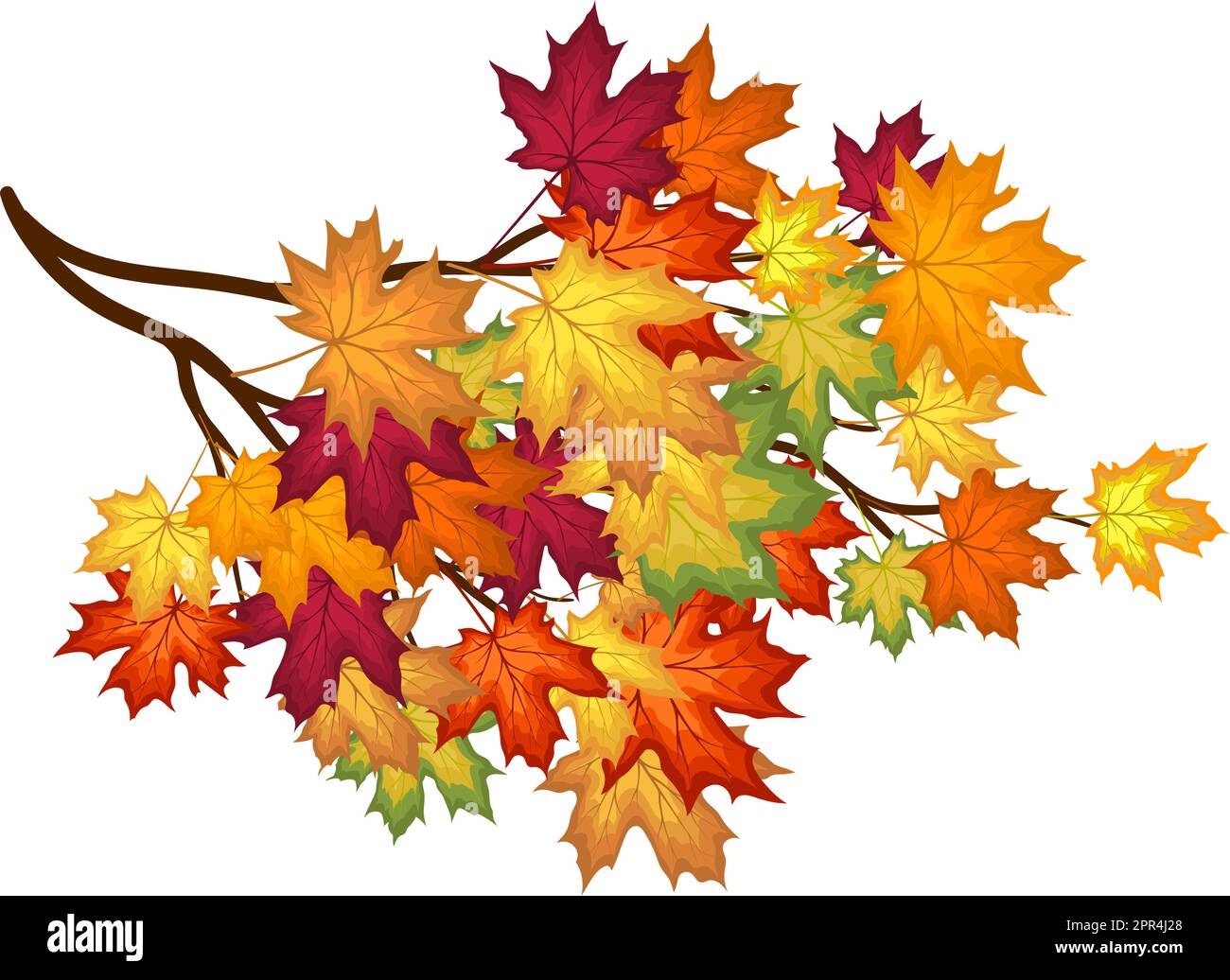 Autumn Maple Frame Stock Vector Image & Art - Alamy