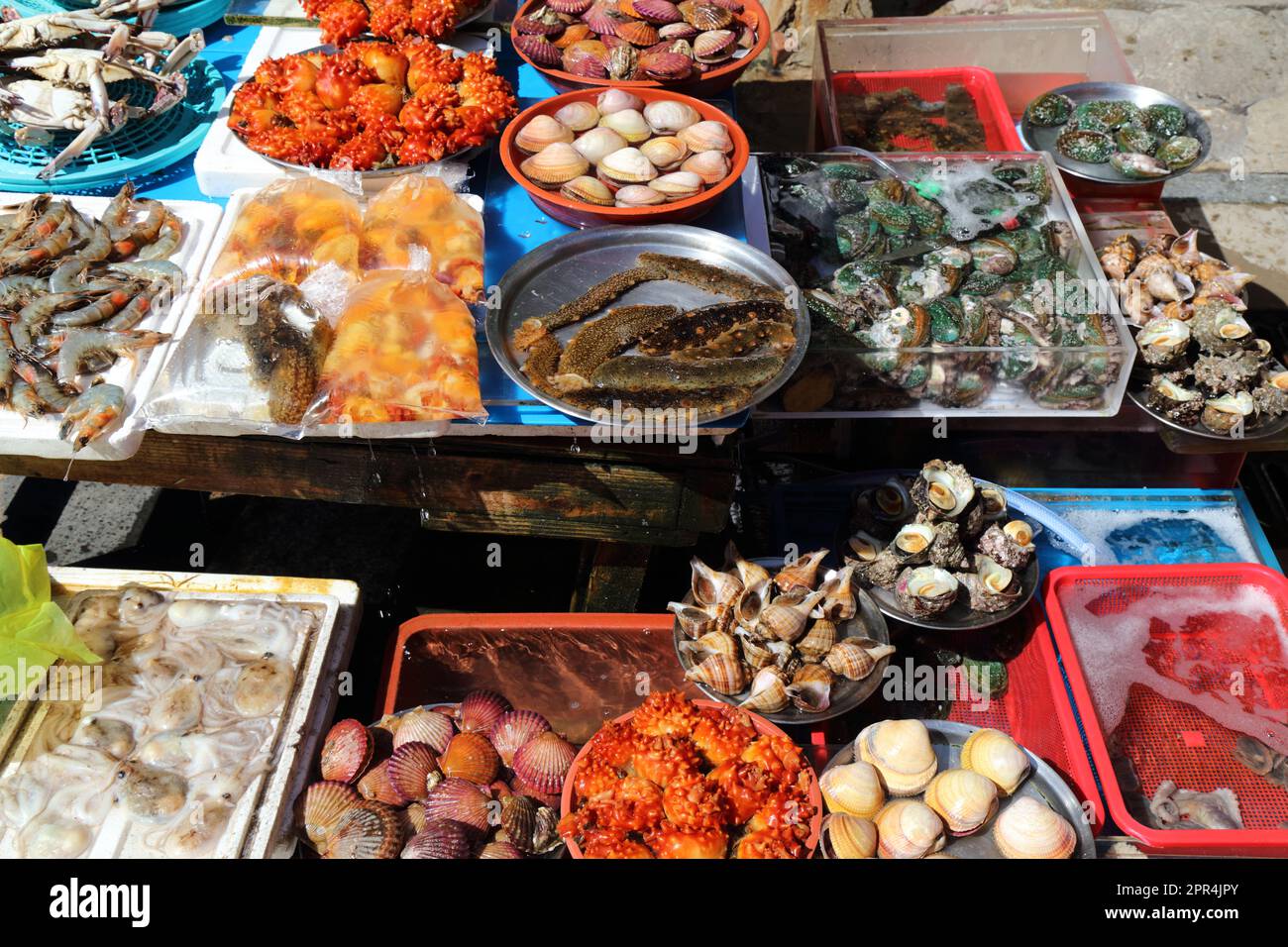 Fish market in Busan, South Korea. Various sea food at Jagalchi Fish