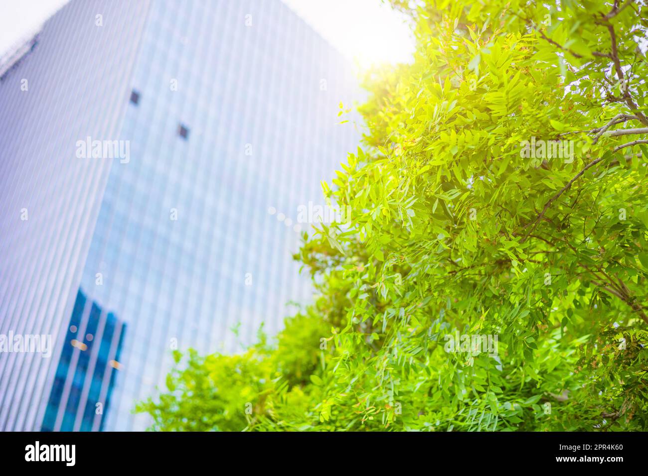green city metro sky office building around with green park tree for fresh air good ecology Stock Photo