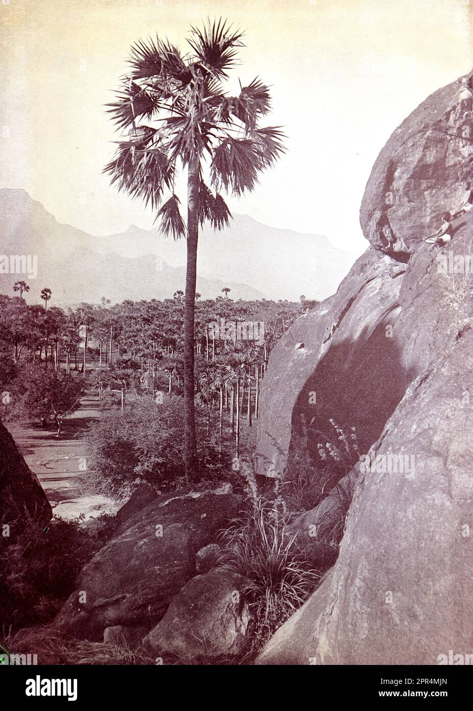 The Great Rock, Dohnavur. Half-tone engraving from a photograph by Mr. Penn of Ootacamund (now known as Ooto), in the Tamil Nadu region of Southern India, c1912. The image relates to the Church of England Zenana Mission’s nursery and compound in Dohnavur, also in Tamil Nadu and about thirty miles from the southern tip of India. The compound was run by Amy Wilson-Carmichael and sought to promote Christianity among babies and children (at the time only girls, many who were victims of temple prostitution). Stock Photo