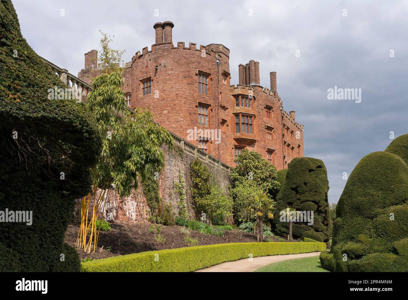 Powis Castle & shaped Powis Yews on the north terrace. Powis Castle is a medieval fortress & grand country house with a Baroque garden. Powys, Wales Stock Photo