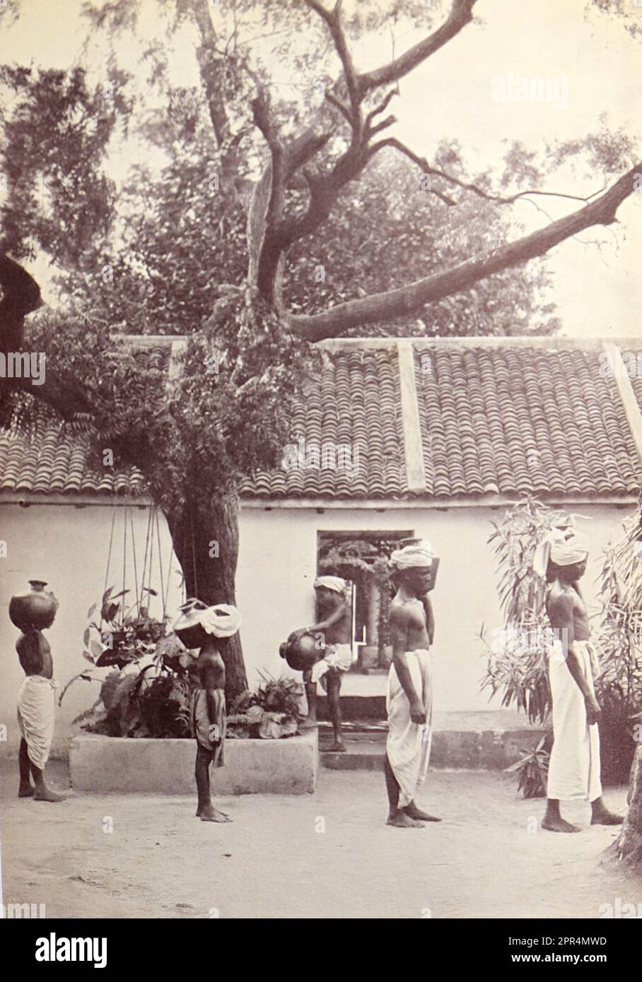 The water carriers: A task for which men had recently accepted responsibility in Dohnavur. Half-tone engraving from a photograph by Mr. Penn of Ootacamund (now known as Ooto), in the Tamil Nadu region of Southern India, c1912. The image relates to the Church of England Zenana Mission’s nursery and compound in Dohnavur, also in Tamil Nadu and about thirty miles from the southern tip of India. The compound was run by Amy Wilson-Carmichael and sought to promote Christianity among babies and children (at the time only girls, many who were victims of temple prostitution). Stock Photo