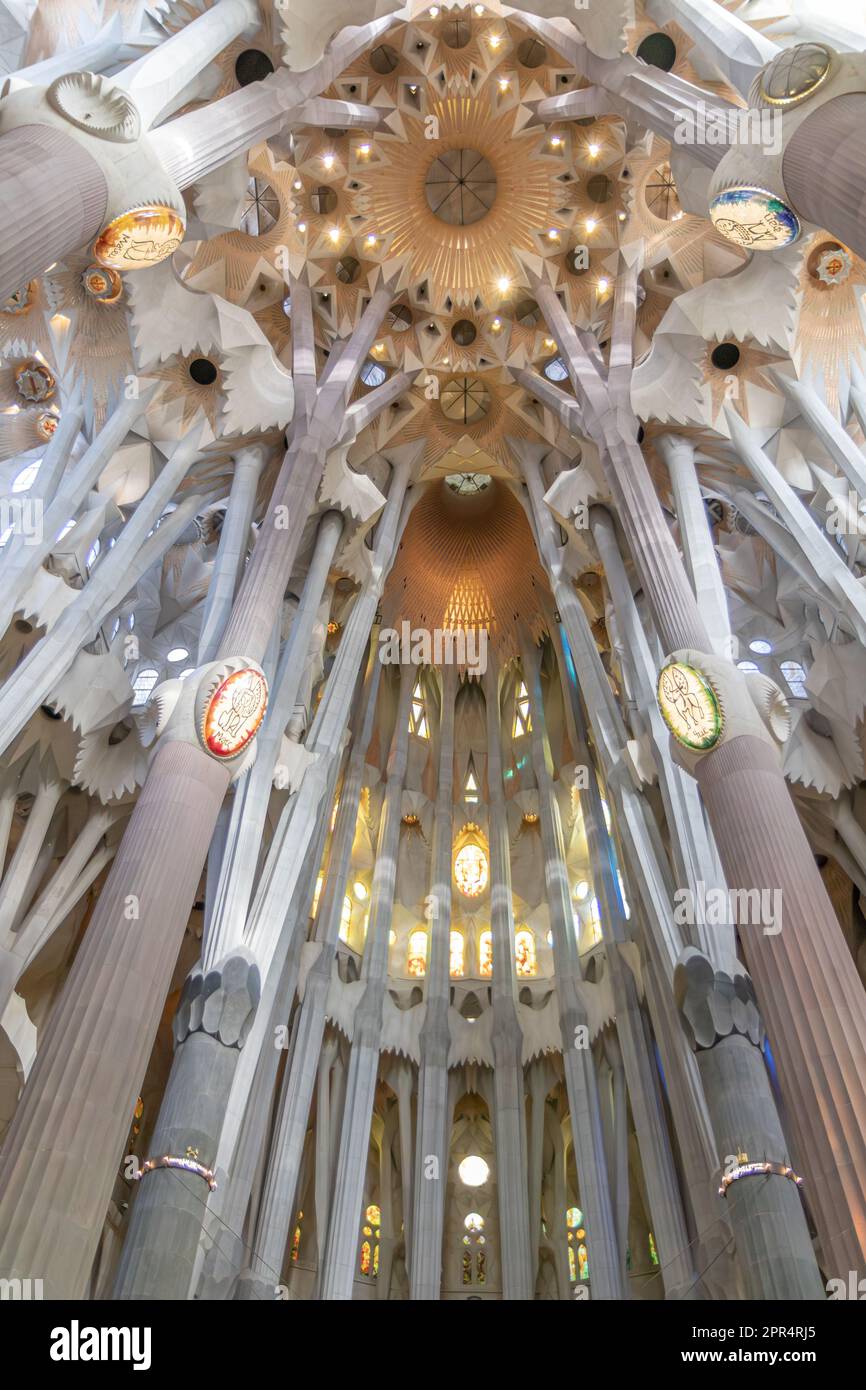 Ceiling and columns of the nave - Interior of Sagrada Familia ...