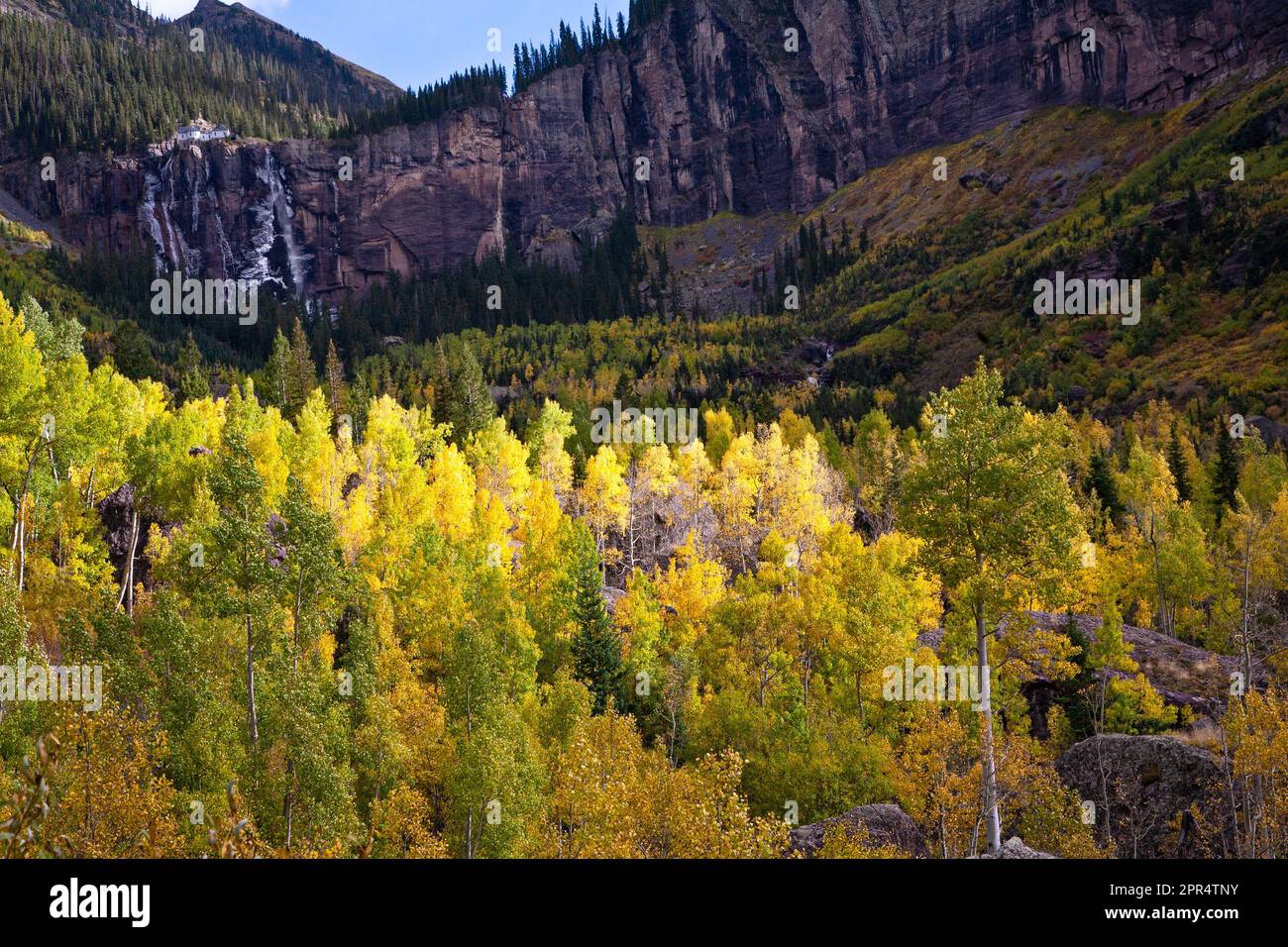 A changing aspen forest covers the slopes below a frozen Bridal Veil