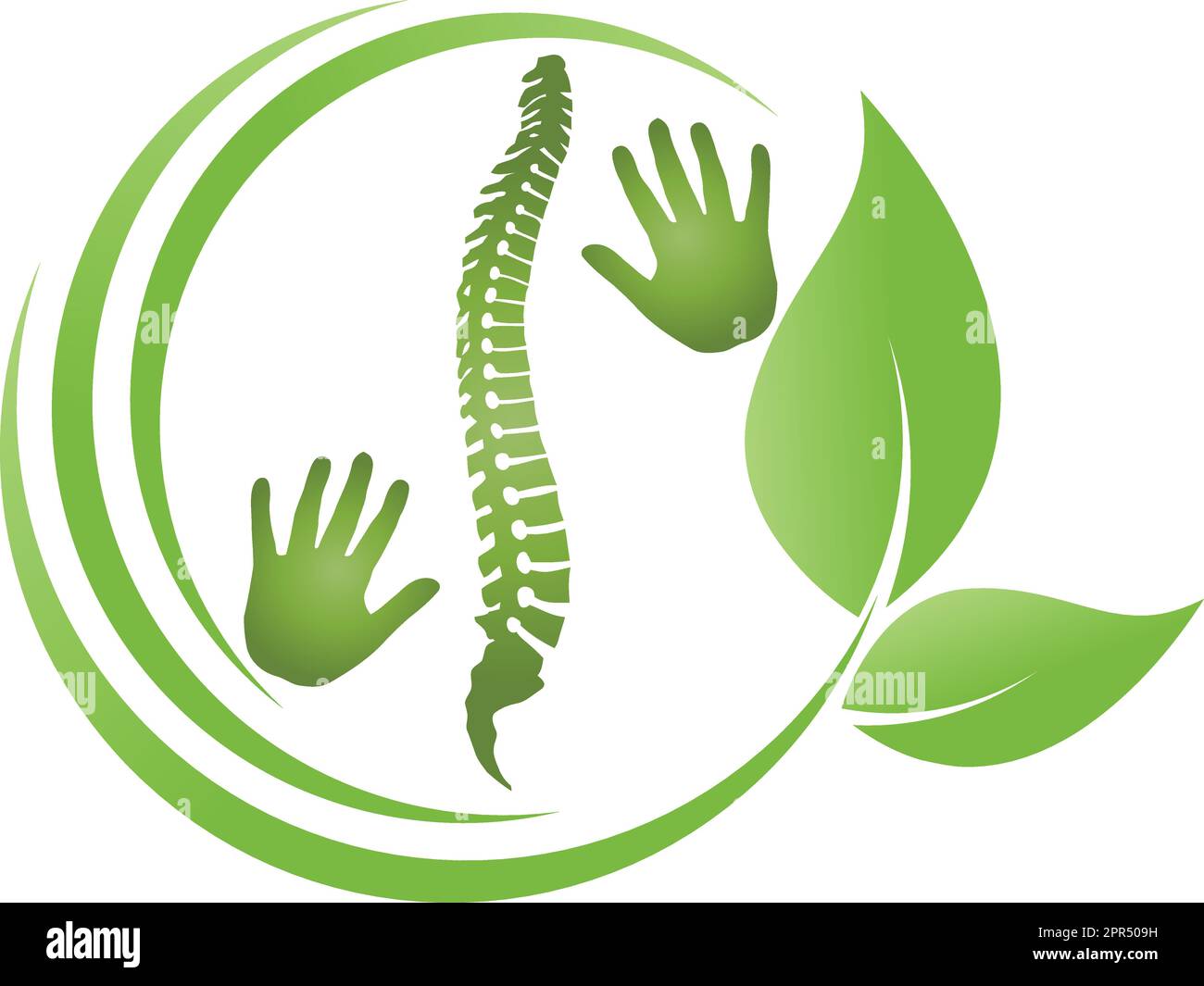 Orthopaedics, massage, chiropractor, naturopath, logo Stock Vector