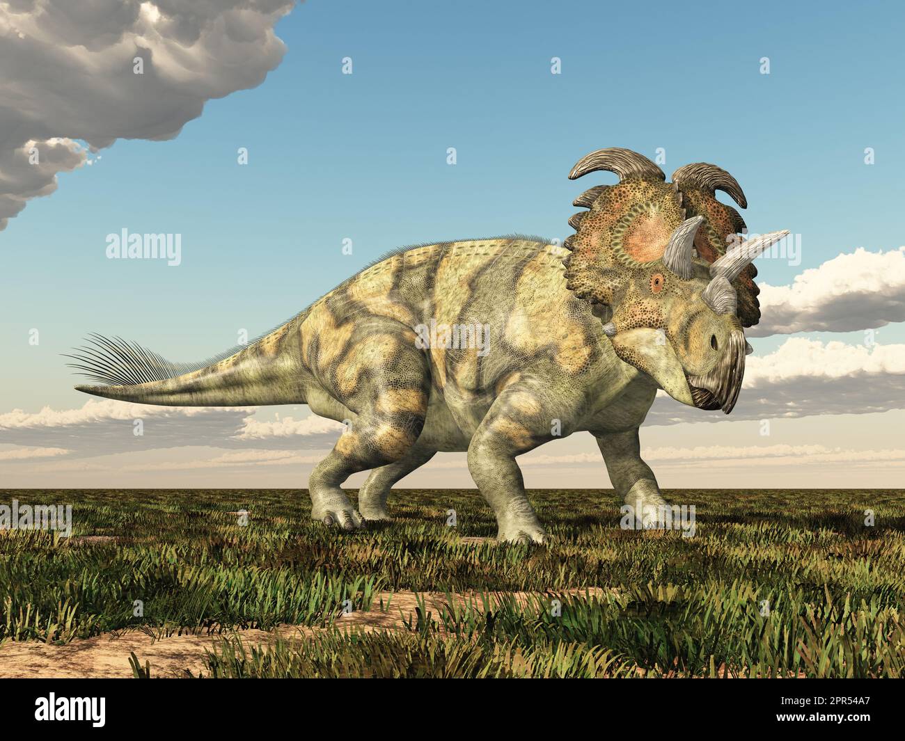 Dinosaur Albertaceratops in a landscape Stock Photo