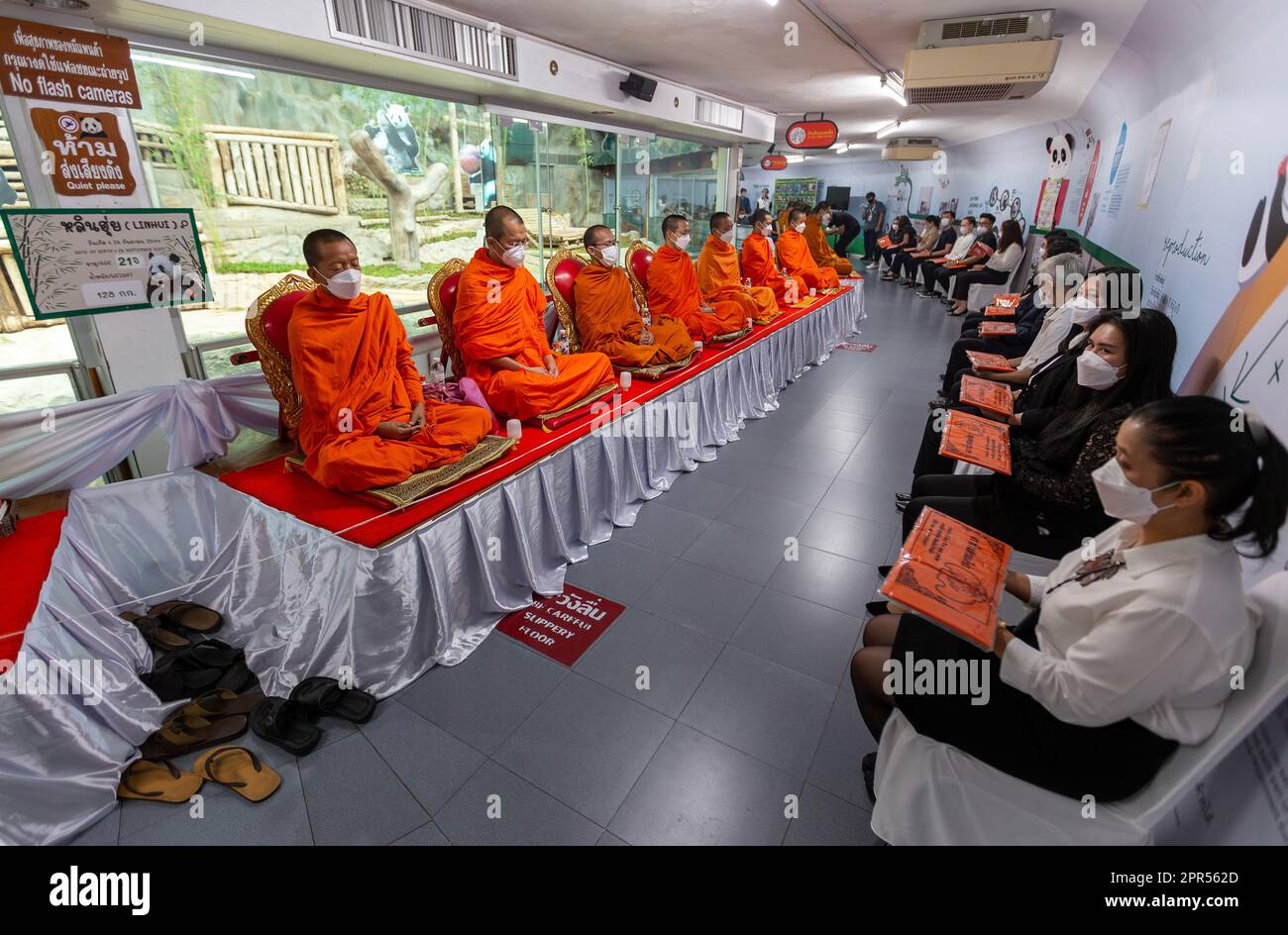 Thai Buddhist monks and Chiang Mai Zoo staff perform a merit-making ...