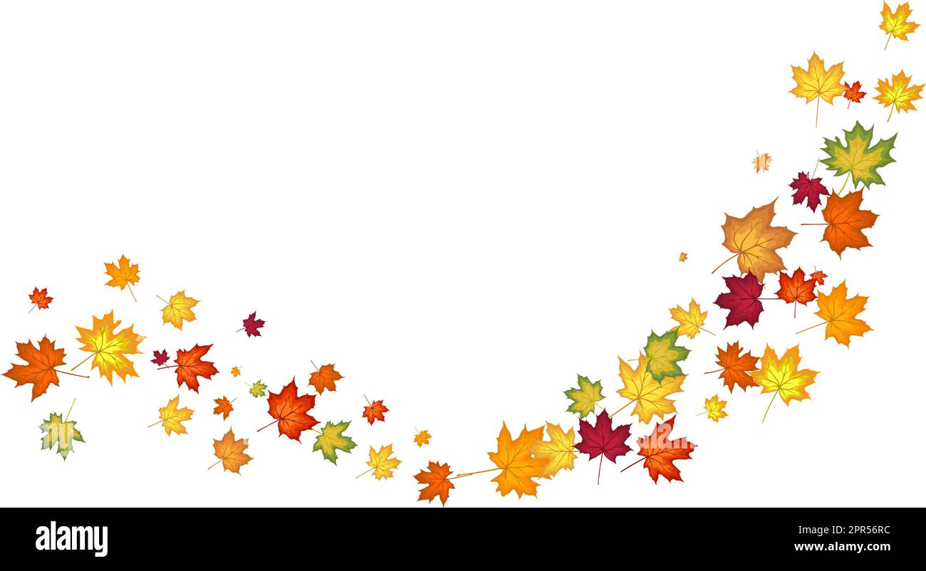 Autumn Maple Frame Stock Vector Image & Art - Alamy