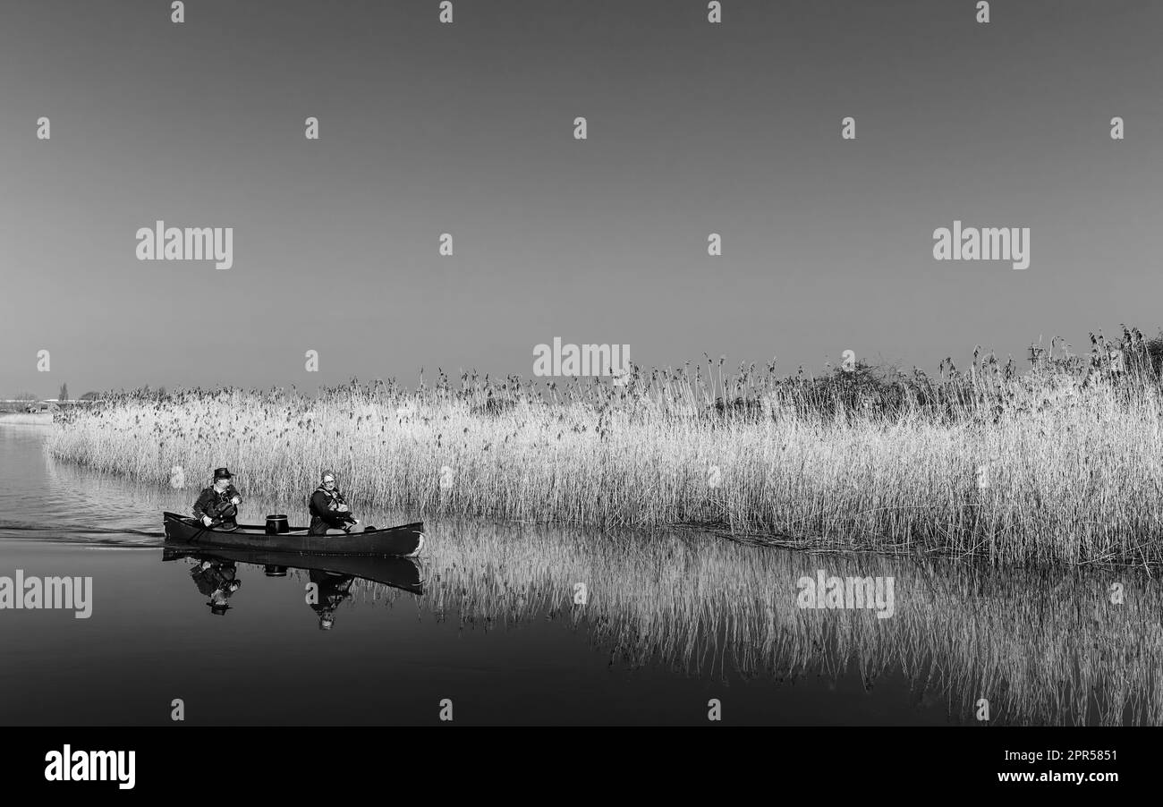 Couple in small boat row down river Hull flanked by golden reeds on a fine spring day under blue sky in Beverley, UK. Stock Photo