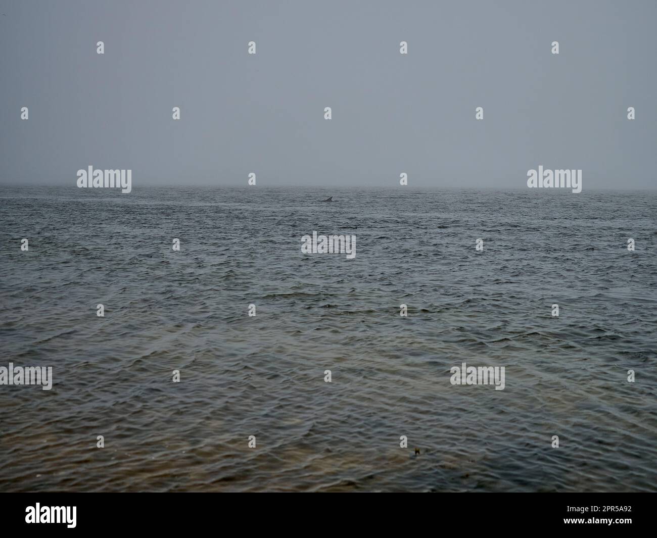 coastline of the atlantic ocean along the shores of Scotland at