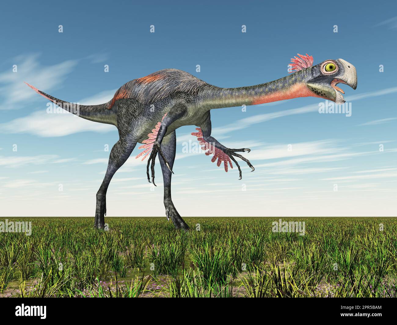 Gigantoraptor Fossil Hi res Stock Photography And Images Alamy