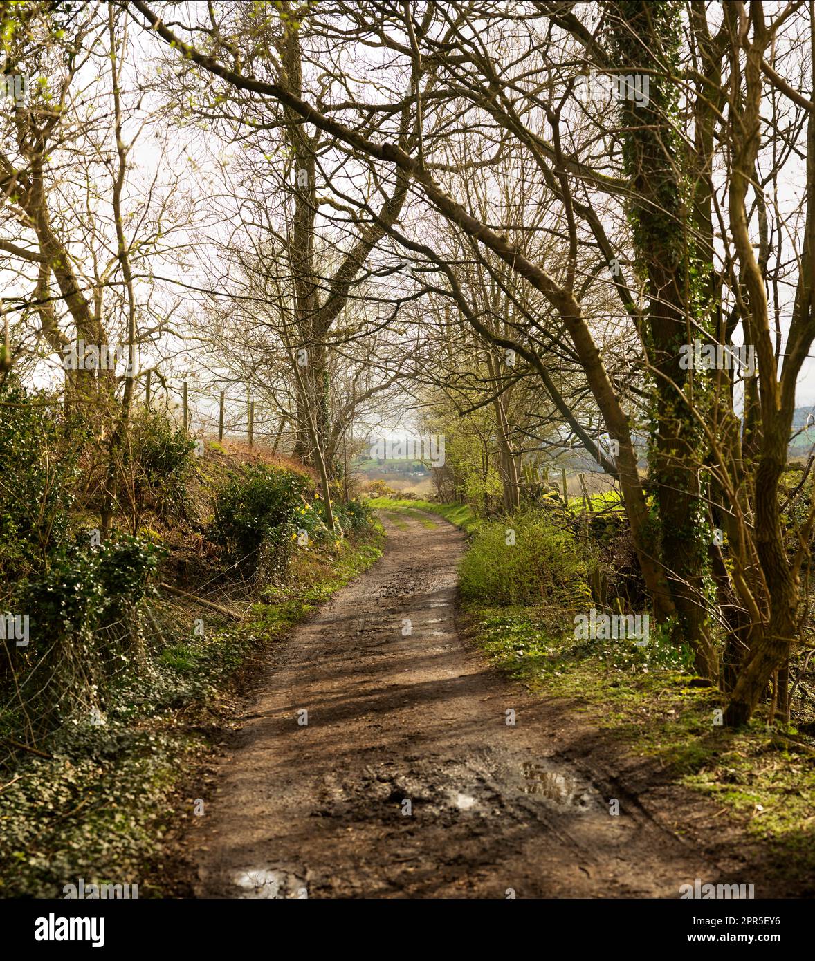 A country lane in the Derbyshire Peak District on an early spring day. Walking through the English countryside as the season changes. Stock Photo