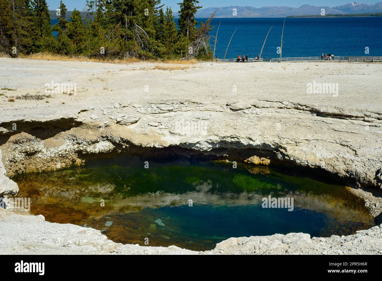 A colorful pool in the West Thumb Geyser Basin at Yellowstone National Park, with Yellowstone Lake in the background Stock Photo