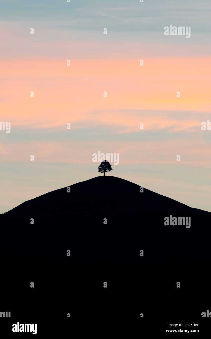 Silhouette of a lone tree on hilltop at dawn, Sumiswald, Emmental, canton of Bern, Switzerland Stock Photo
