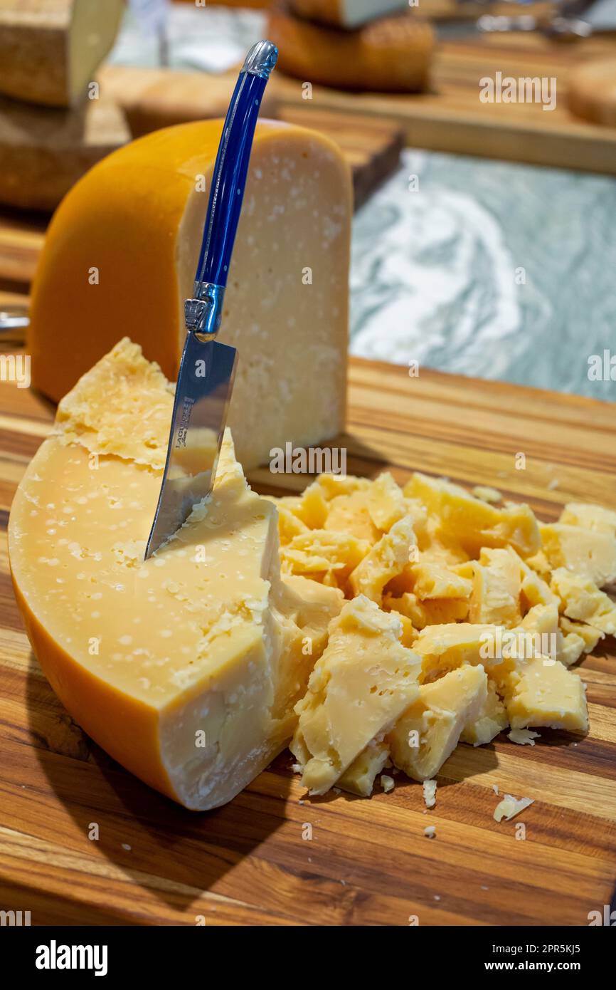 Detroit, Michigan, USA. 25th Apr, 2023. Ford Motor Co offered visitors