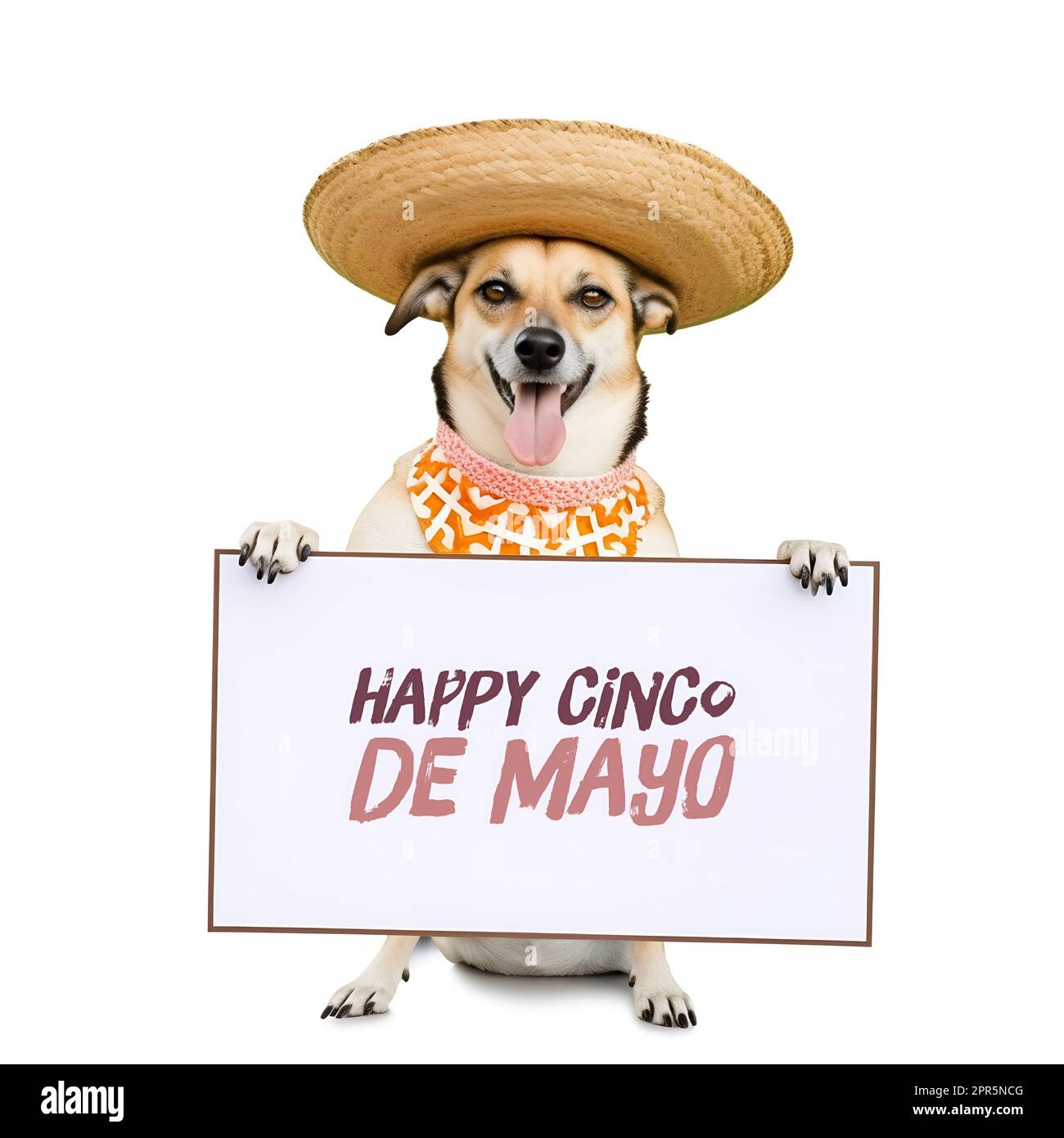 Cute dog border collie mexico cinco de mayo t shirt - Dog Border Collie  Mexico Cinco De Mayo - Sticker
