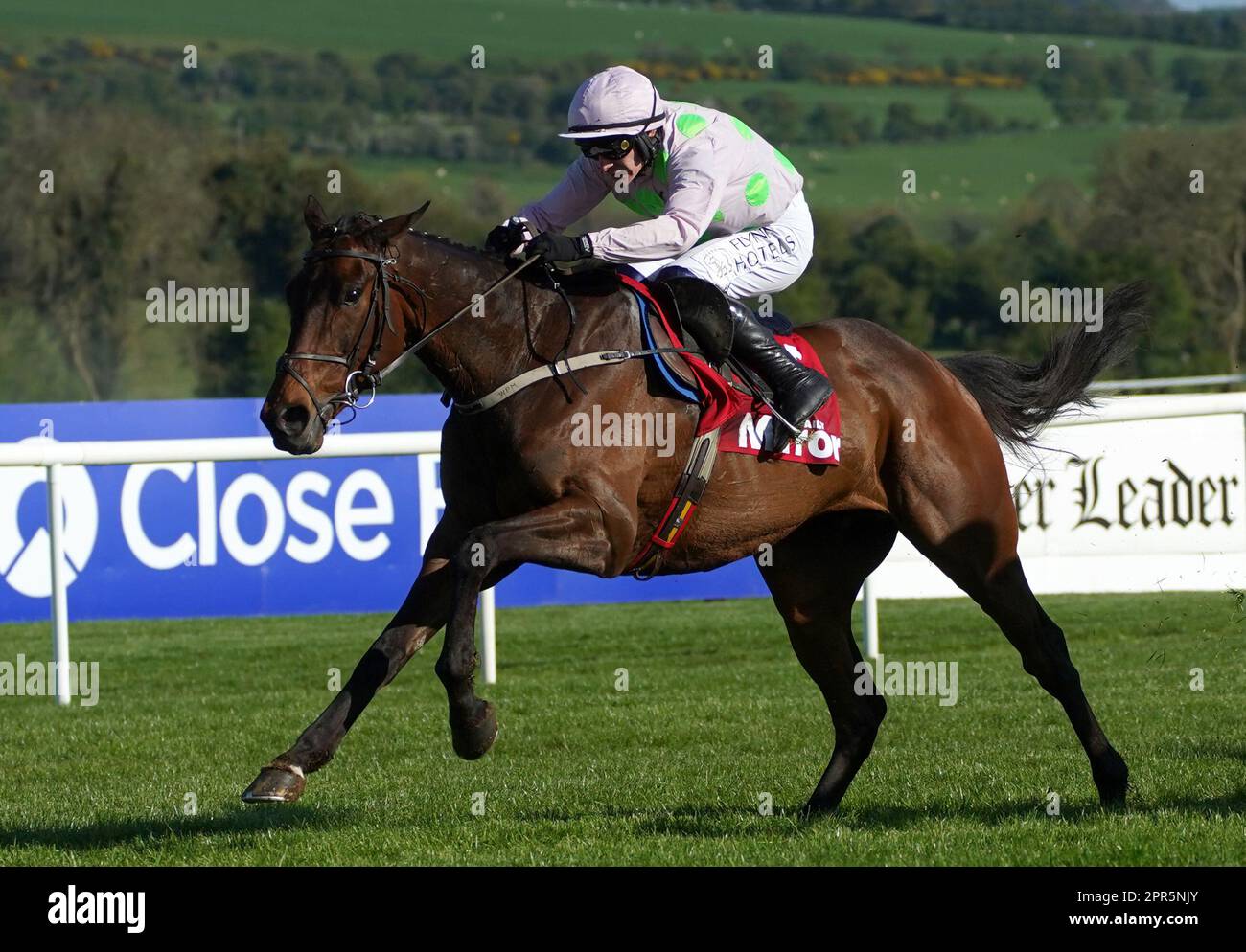Gaelic Warrior ridden by Paul Townend on the way to winning the Irish Mirror Novice Hurdle during day two of the Punchestown Festival at Punchestown Racecourse in County Kildare, Ireland. Picture date: Wednesday April 26, 2023. Stock Photo