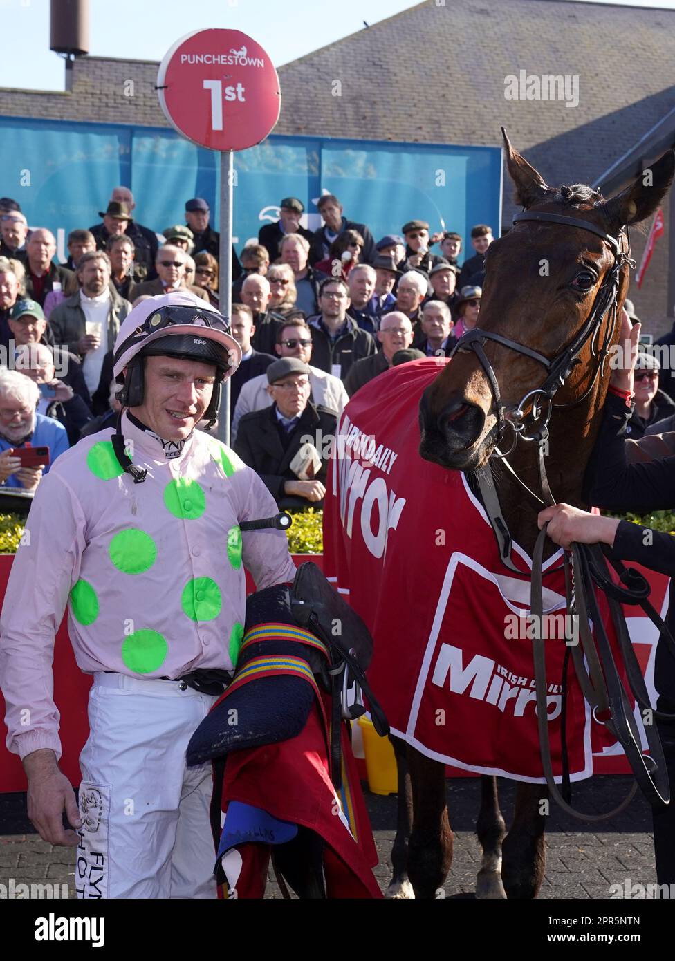 Gaelic Warrior and jockey Paul Townend in the parade ring after winning the Irish Mirror Novice Hurdle during day two of the Punchestown Festival at Punchestown Racecourse in County Kildare, Ireland. Picture date: Wednesday April 26, 2023. Stock Photo