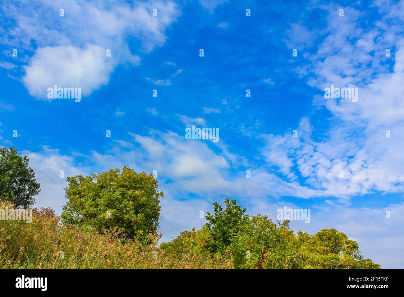 Blue sky with chemical clouds chemtrails on sunny day Germany. Stock Photo