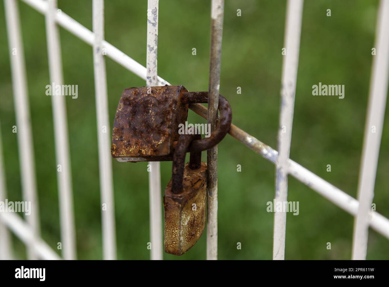 Rusty padlocks on a fence Stock Photo