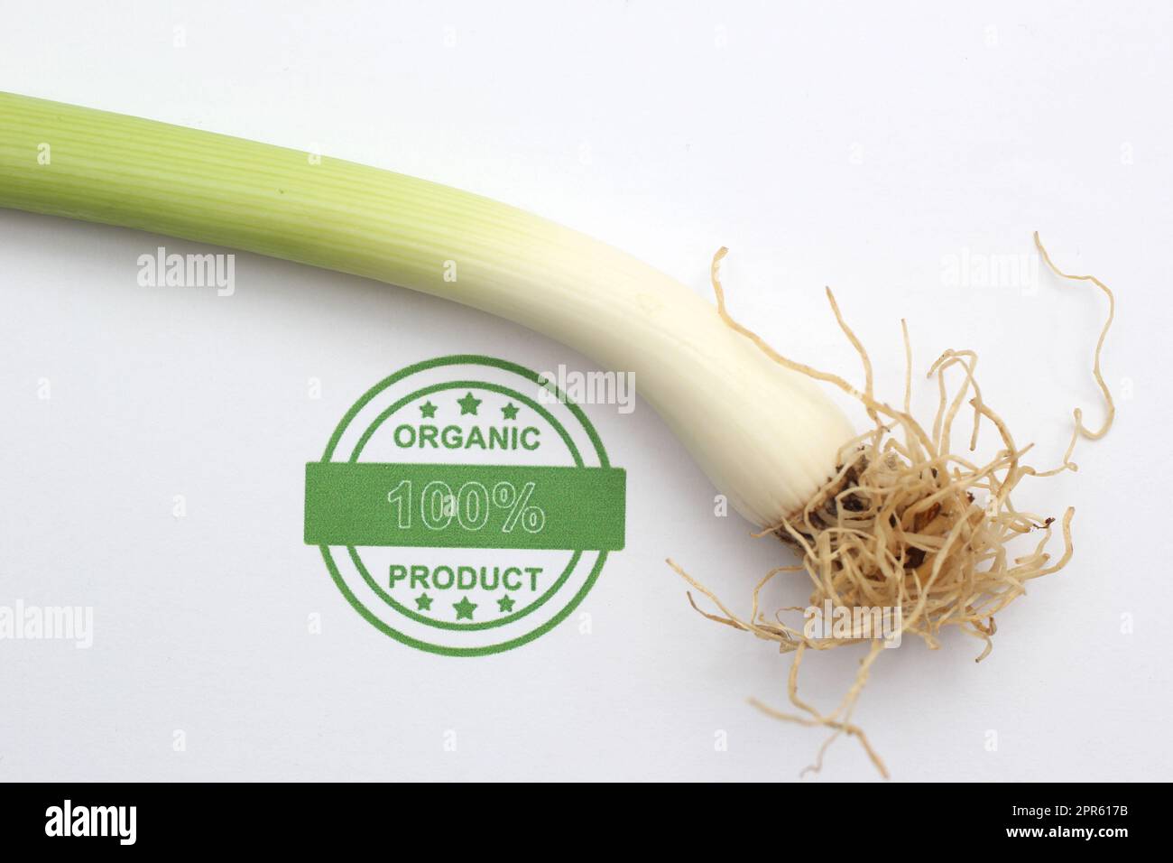 Organic spring onion Stock Photo - Alamy