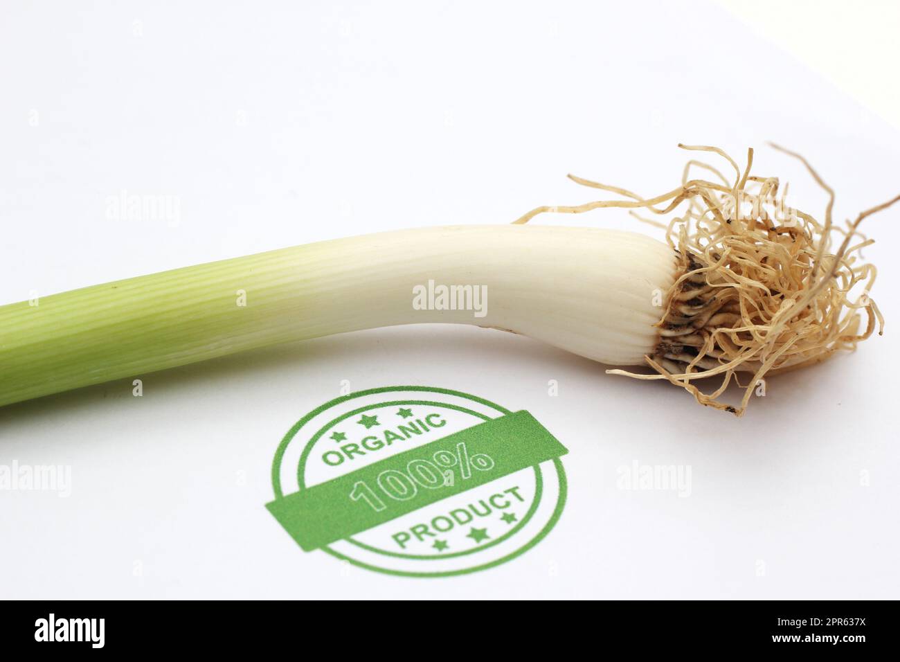 Organic spring onion Stock Photo - Alamy