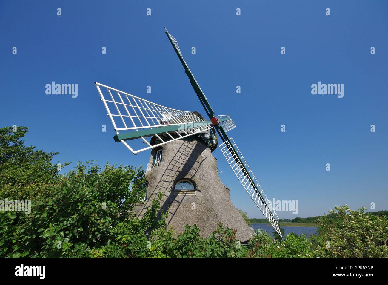 Windmill "Charlotte", Nature reserve "Geltinger Birk", Nieby, Schleswig-Holstein, Germany Stock Photo