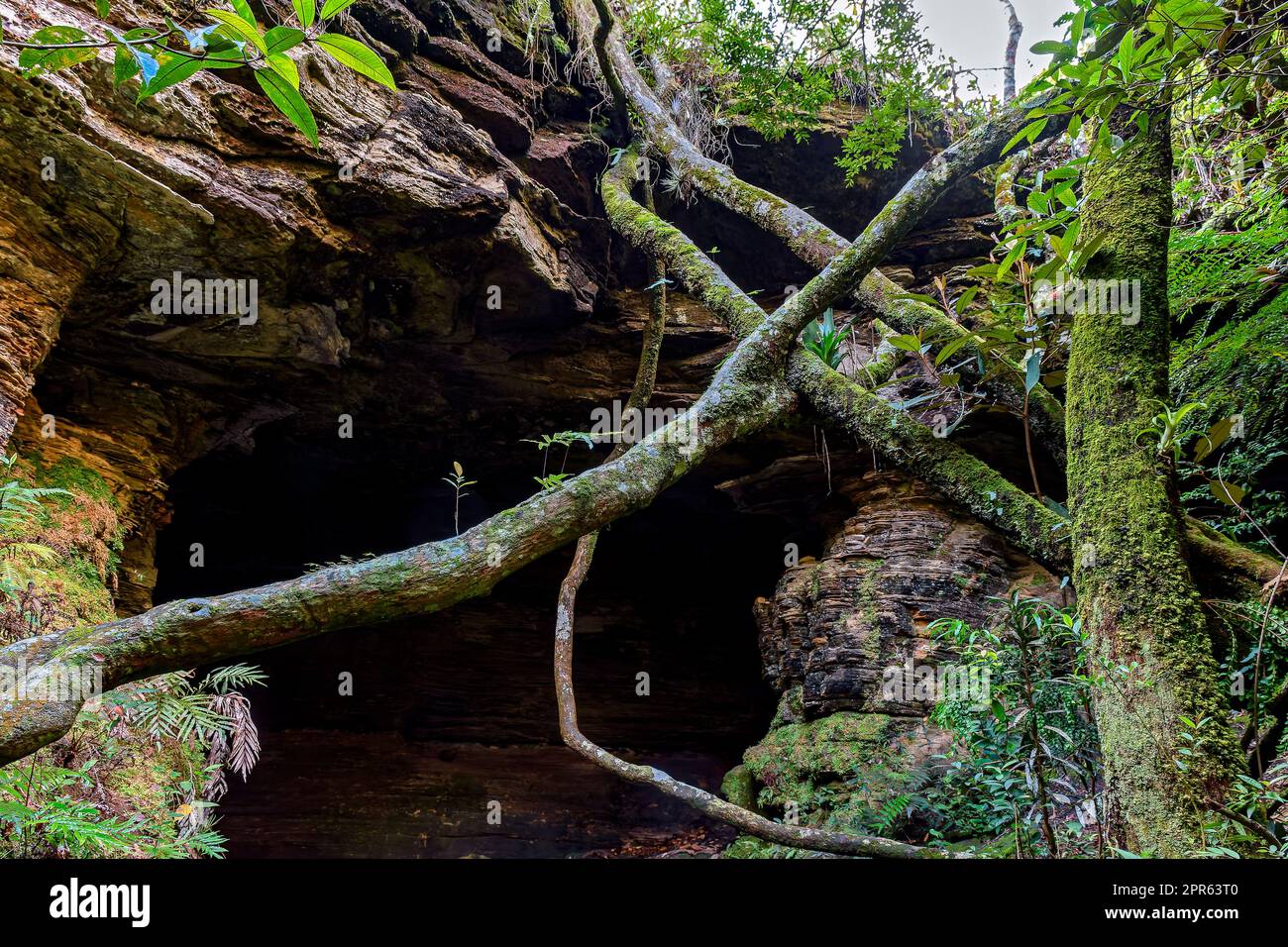 Cave entrance amid the rocks and vegetation of the rainforest Stock Photo