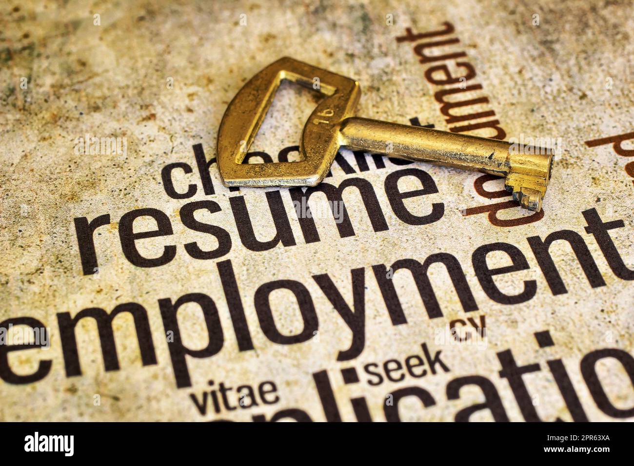 Resume and golden key Stock Photo - Resume And Golden Key 2PR63XA 