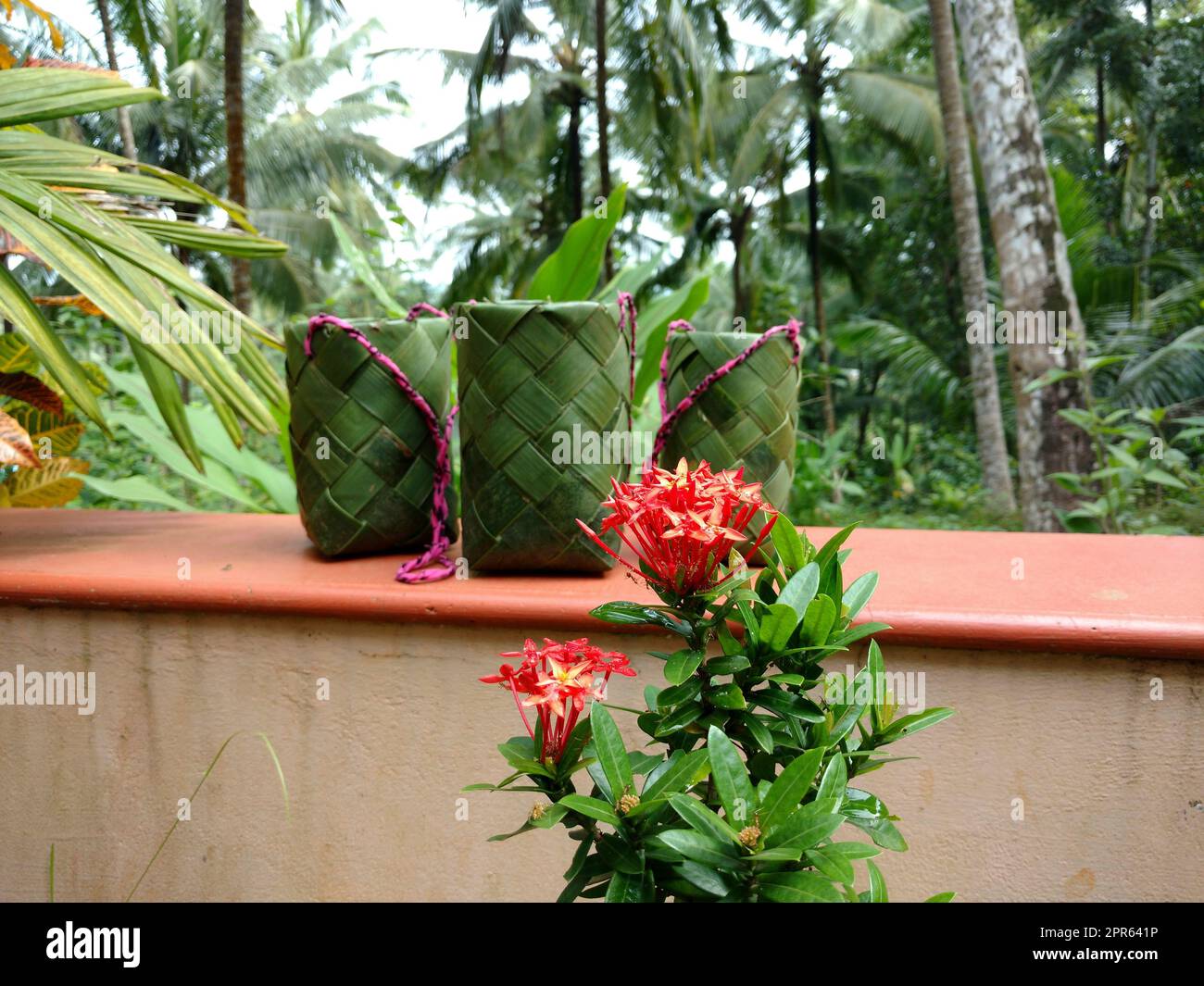 A traditional flower pot for onam festival Stock Photo