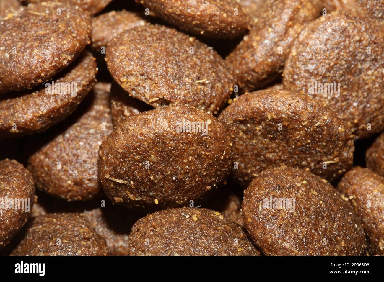Dogs dry round food close up animals eating background high quality big