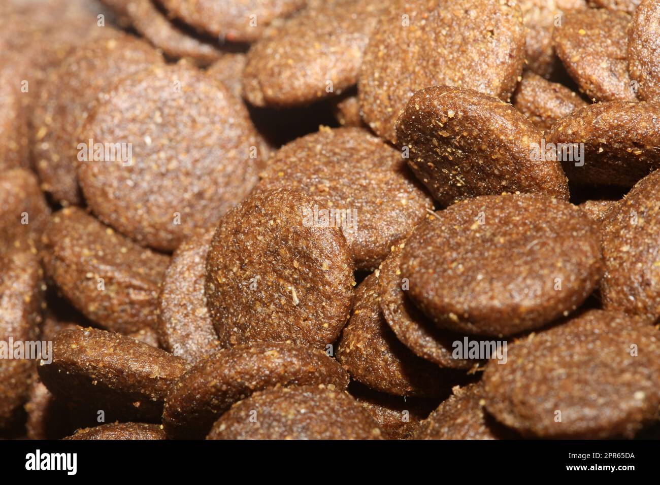 Dogs dry round food close up animals eating background high quality big
