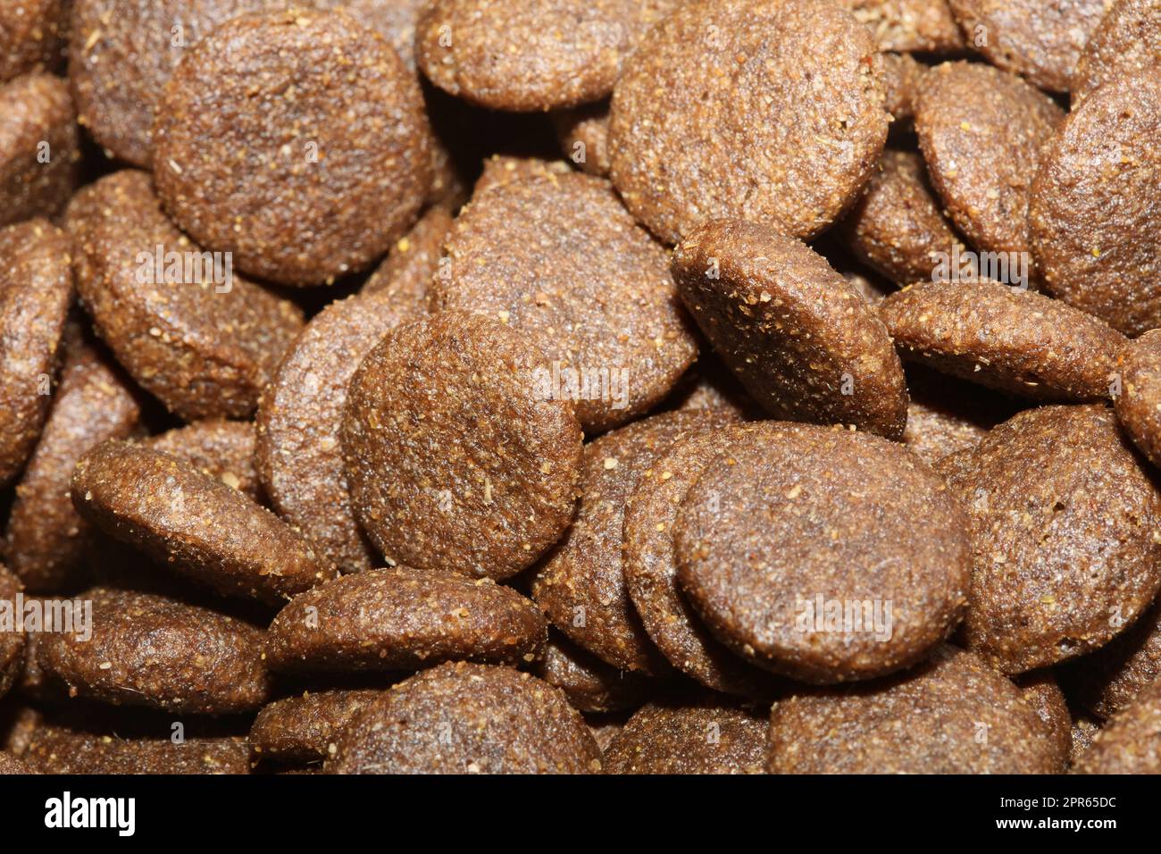 Dogs dry round food close up animals eating background high quality big