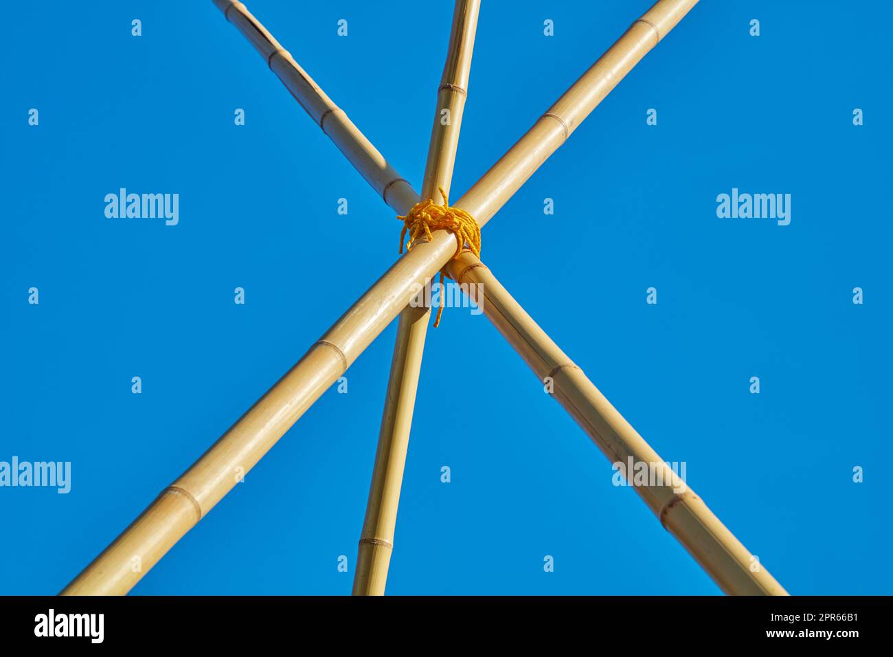 Bamboo poles Stock Photo