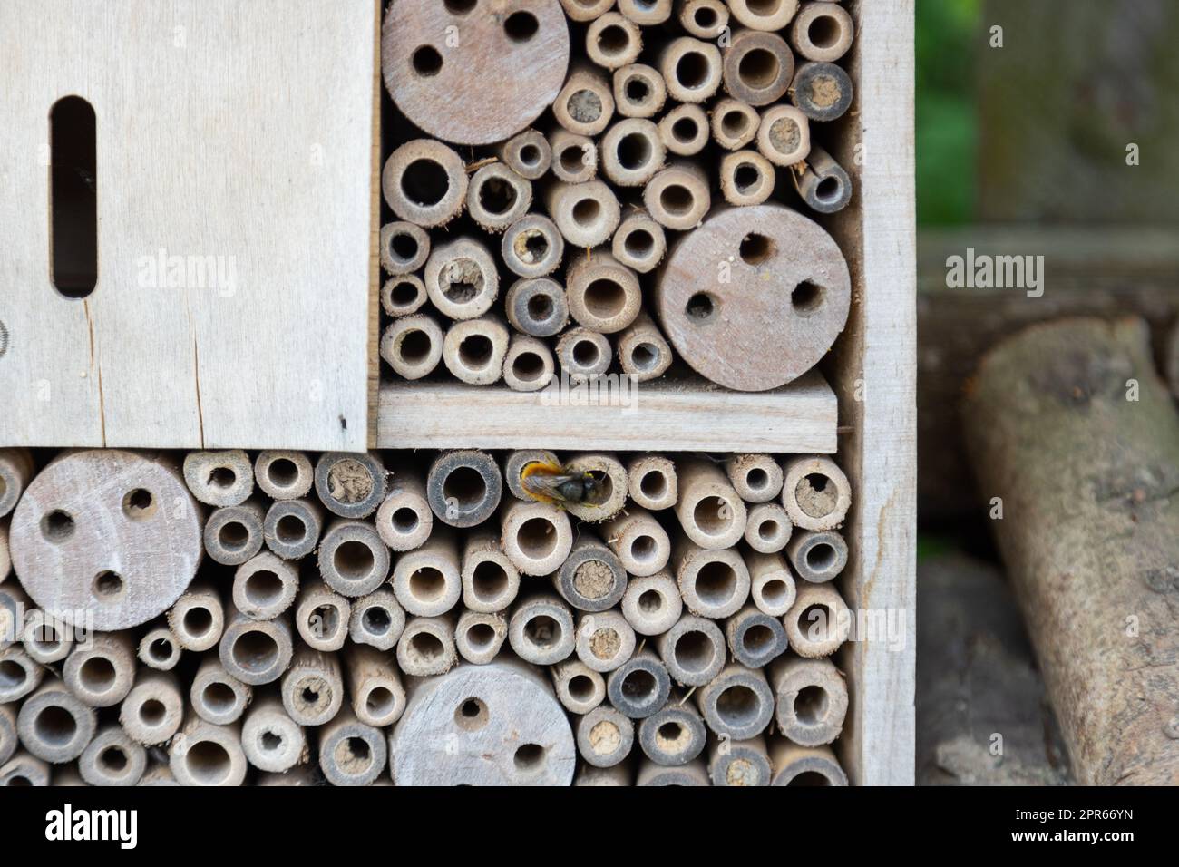 An insect hotel for bees, wasps and other insects made of wood Stock ...