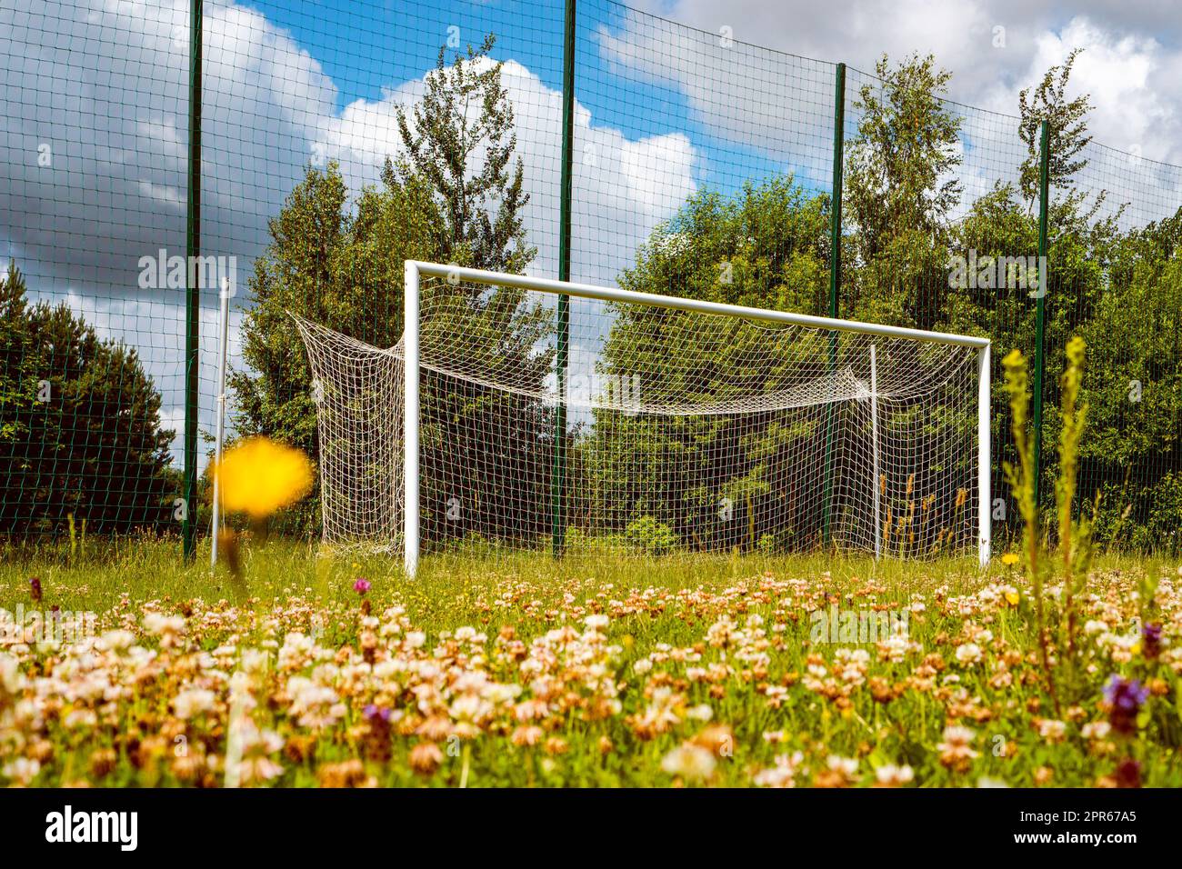 Uncut grass on the on the soccer stadium with empty goals Stock Photo