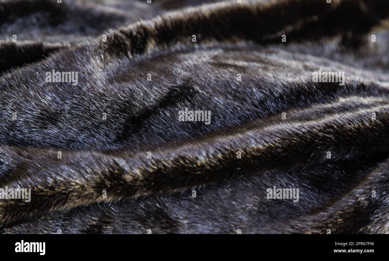 Black fur background Stock Photo