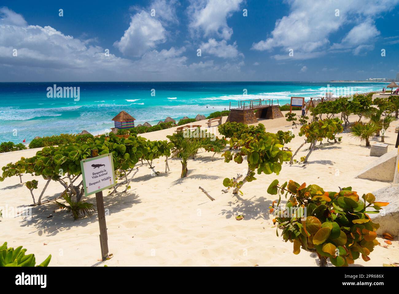 Sandy Beach With Azure Water On A Sunny Day Near Cancun, Mexico Stock ...