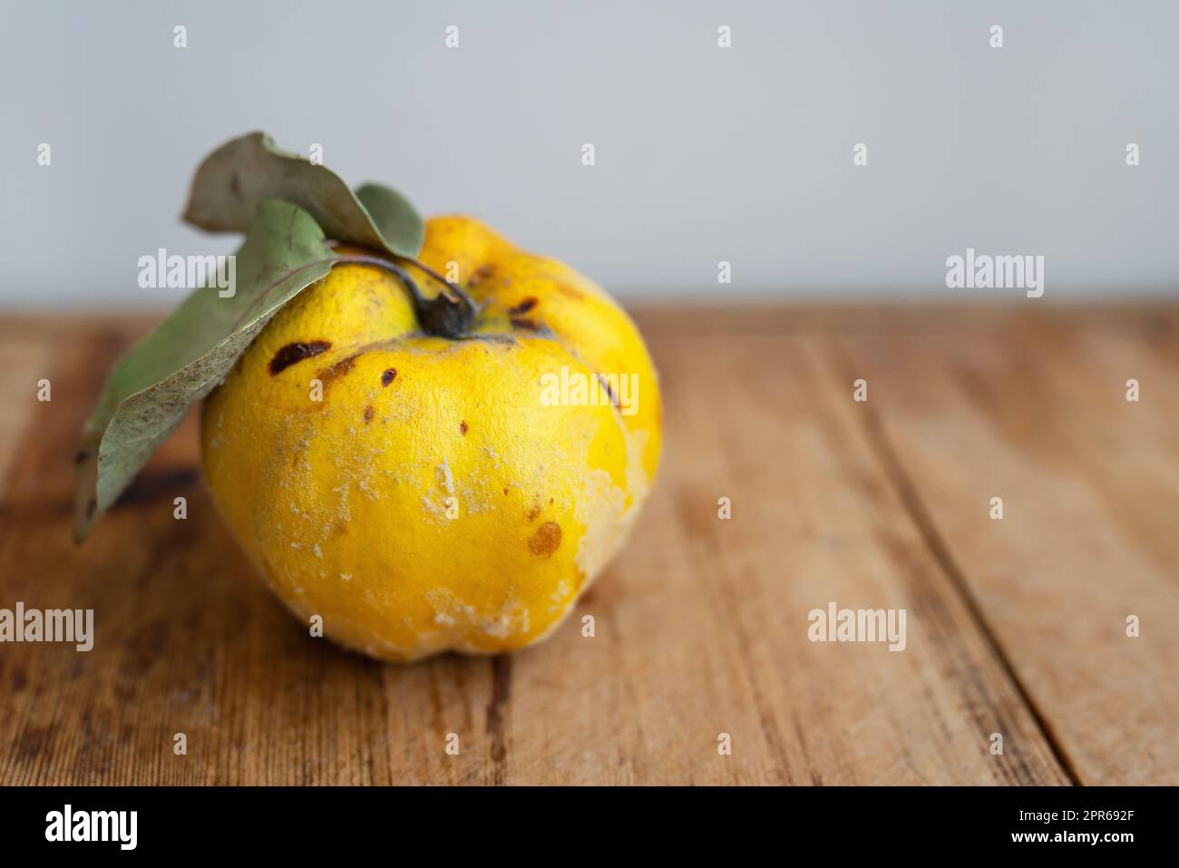 Imperfect apple quince on a wooden table. Yellow moldy quince apple with rot spots. Stock Photo